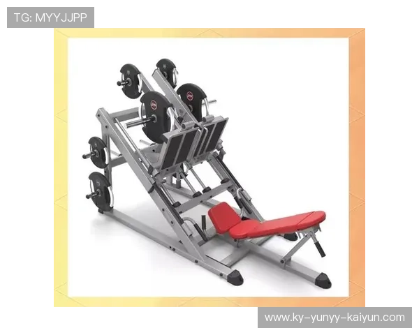 练肌肉的健身器材：推荐有效的肌肉锻炼器材